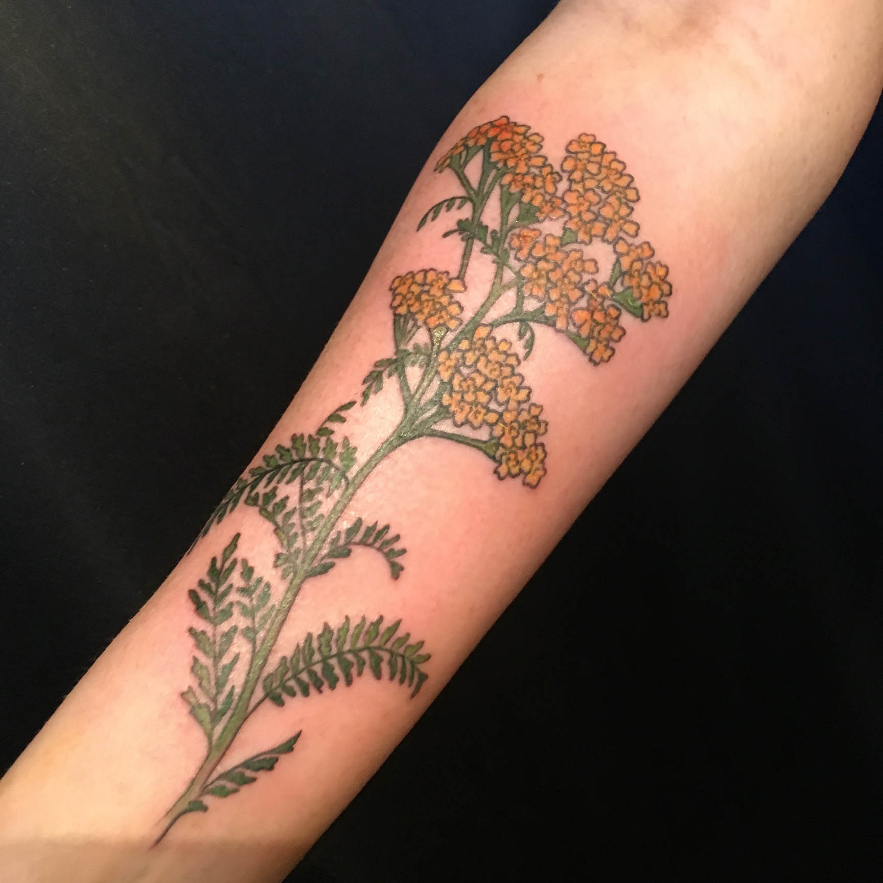 yarrow flower tattoo