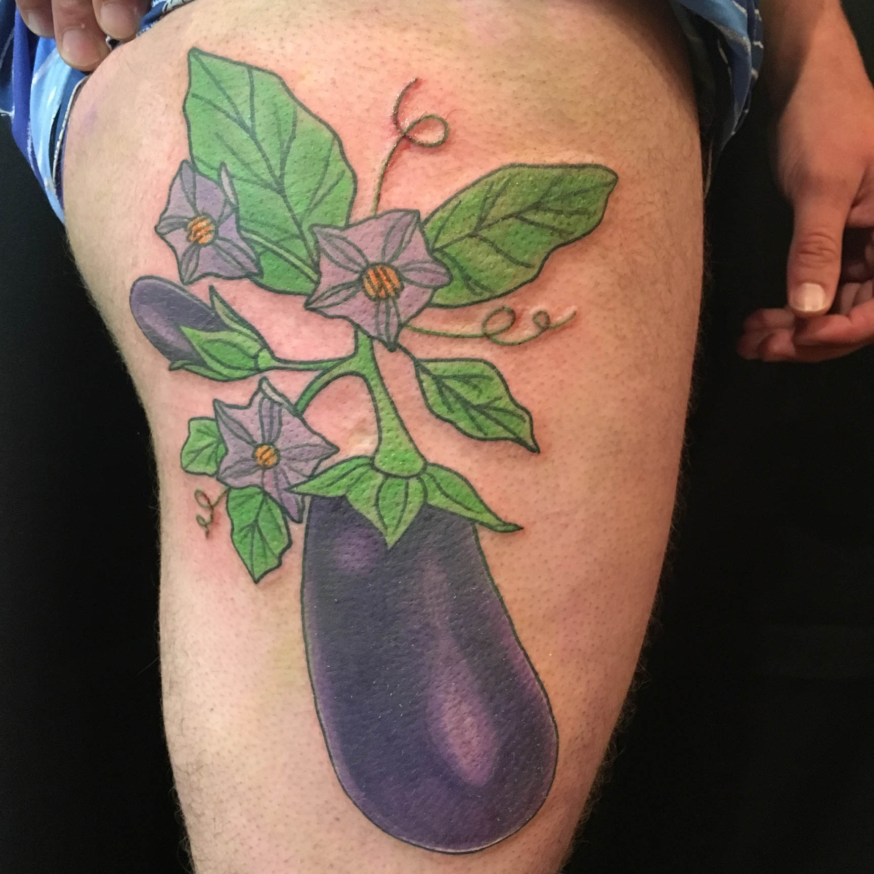 Eggplant Thigh Piece