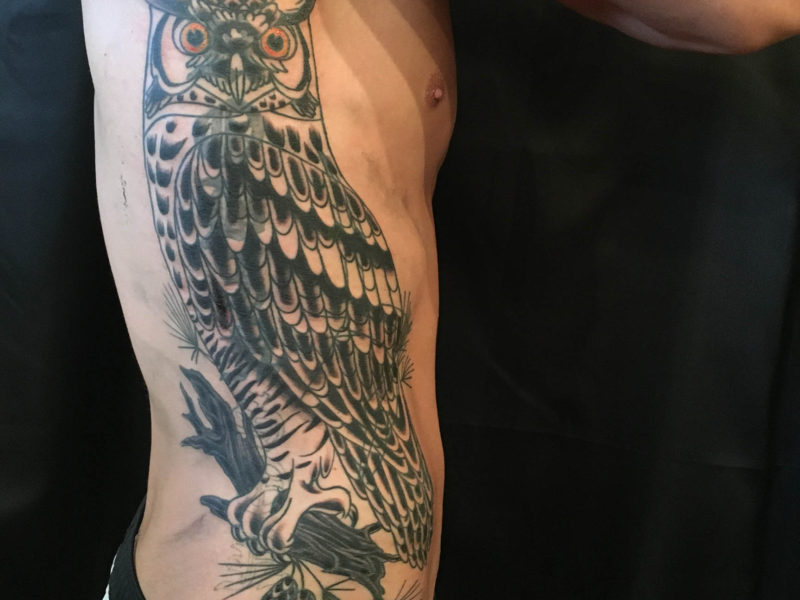 Owl Coverup with Black Shading